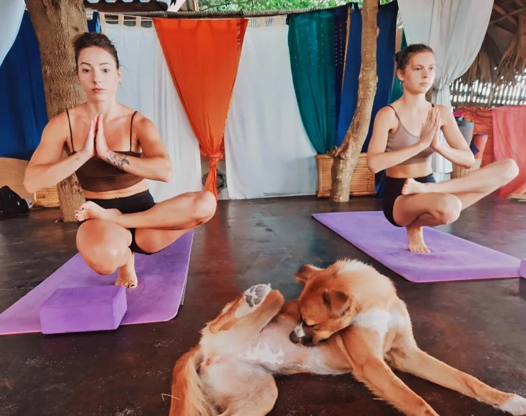 Seaside Yoga Koh Lipe